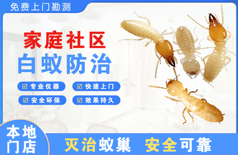 来宾家庭社区白蚁防治