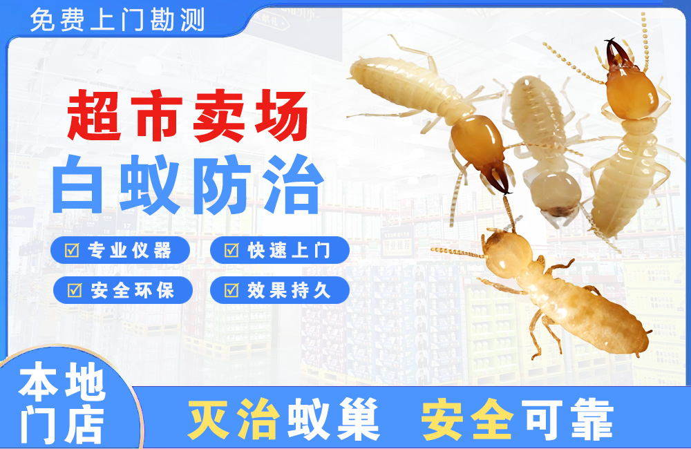 来宾超市卖场白蚁防治
