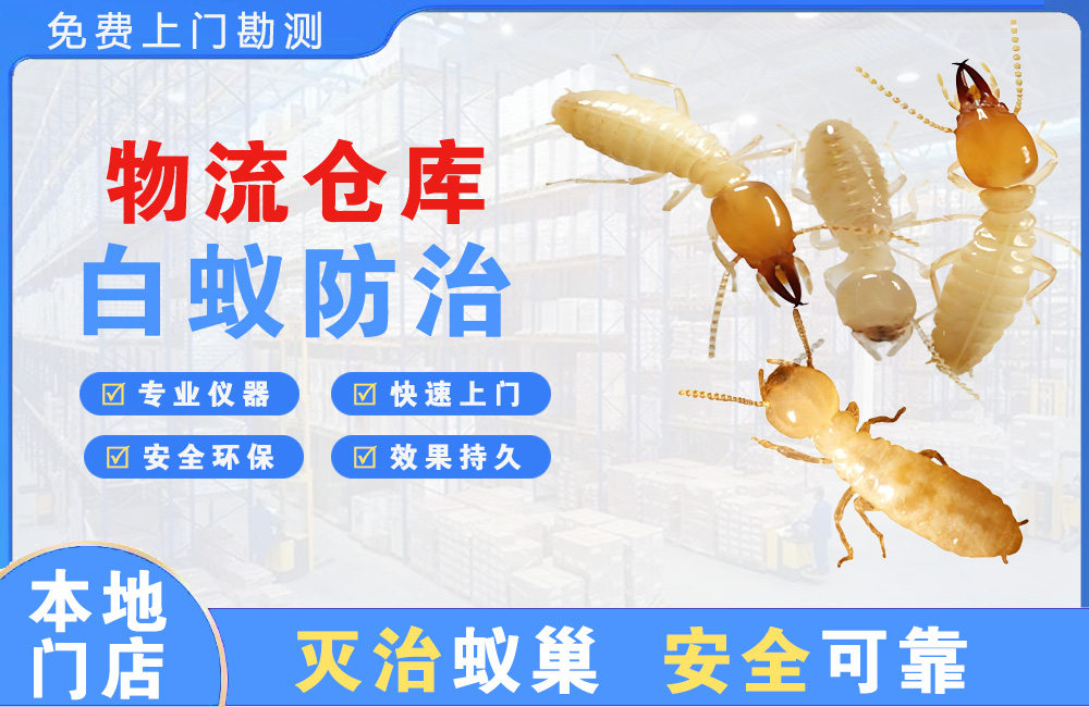 来宾物流仓库白蚁防治