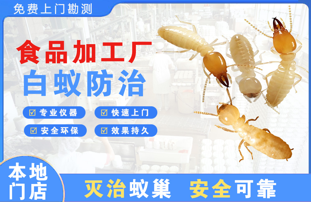 来宾食品加工厂白蚁防治