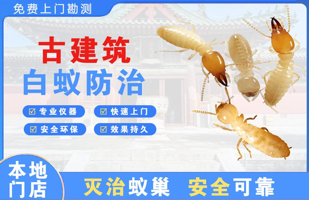 来宾古建筑白蚁防治