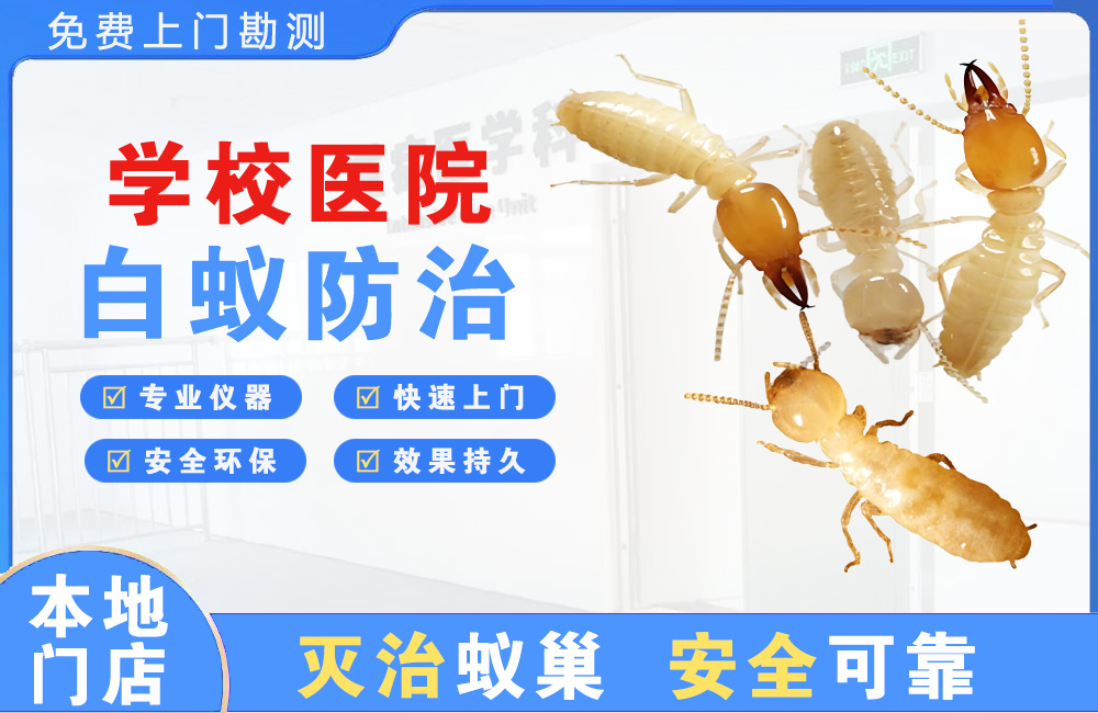 来宾学校医院白蚁防治
