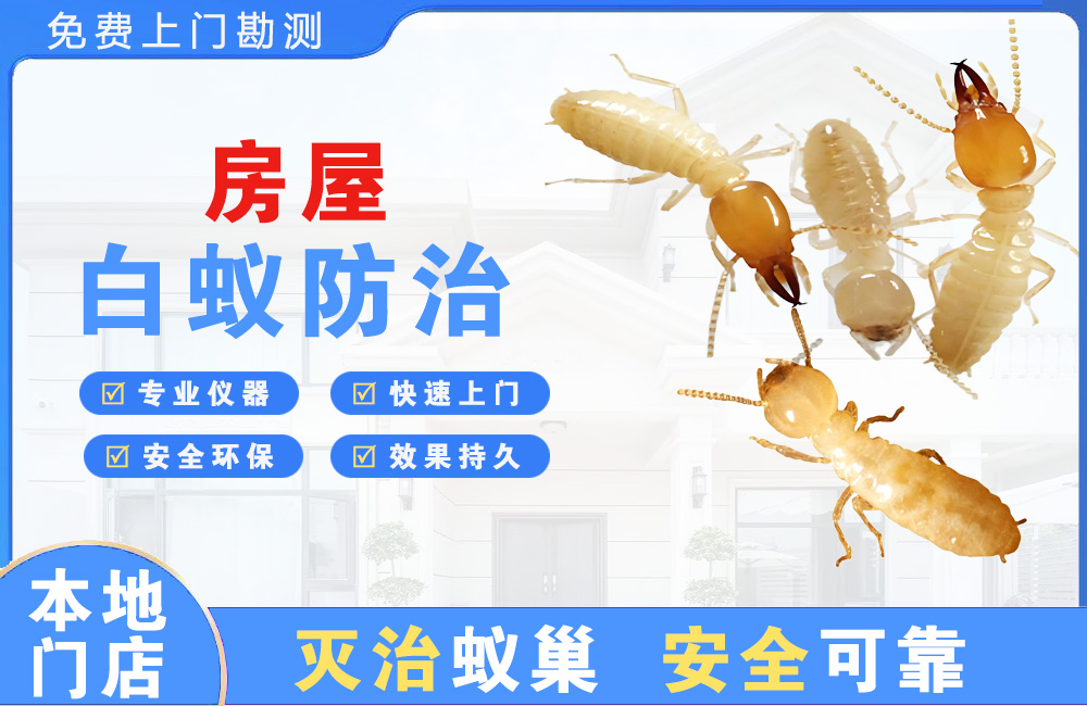 来宾房屋白蚁防治