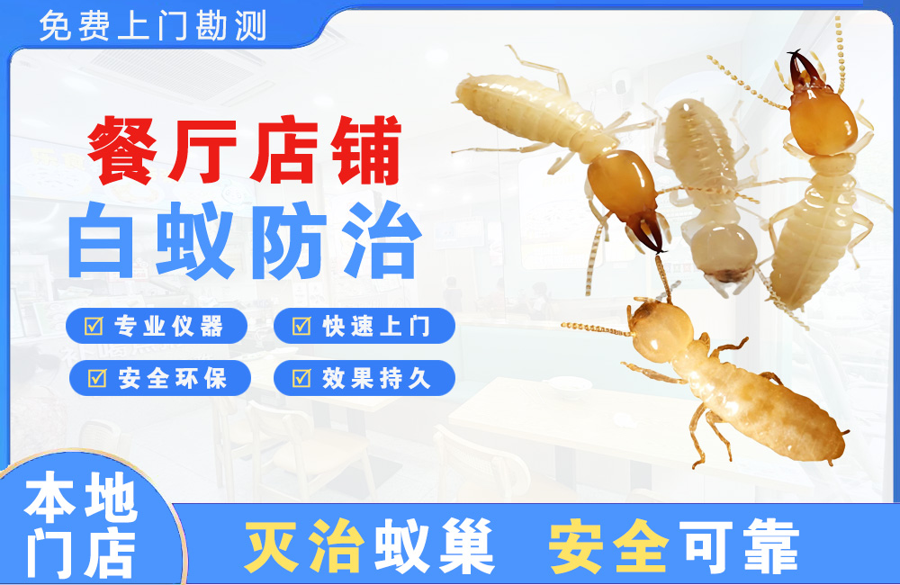来宾餐厅店铺白蚁防治